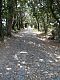 094 - Voie romaine au Sud d-Aleria.JPG